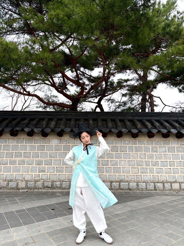 여러분 주말 꽃놀이는 잘 다녀오셨나요?