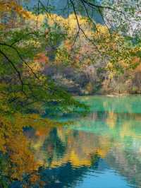 The Tranquility and Beauty of Jiuzhaigou in Autumn