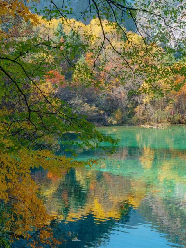 The Tranquility and Beauty of Jiuzhaigou in Autumn
