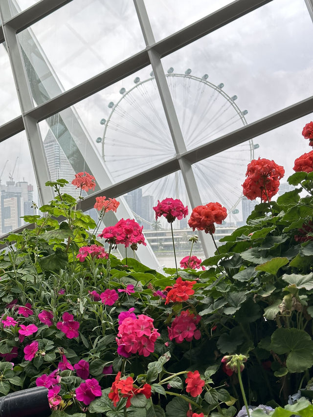 Stunning Iconic🌸FLOWER DOME🌼Singapore