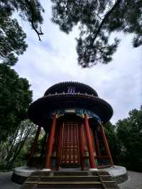 Jingshan Park– The Best Panoramic View of the Forbidden City