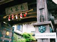 苔と石段が織りなす静寂の世界⛩✨