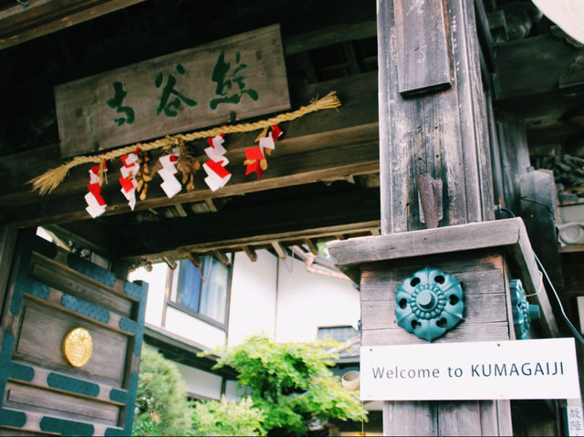 苔と石段が織りなす静寂の世界⛩✨