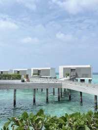 Serene, Soulful Luxury at Alila Kothaifaru Maldives 