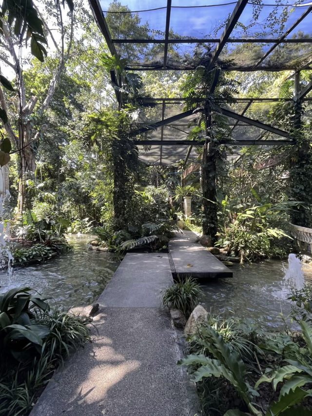 Guangzhou Botanical Garden A Lush, Living Museum in the Heart of the City