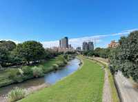 A Serene Retreat: Zhicheng Park 