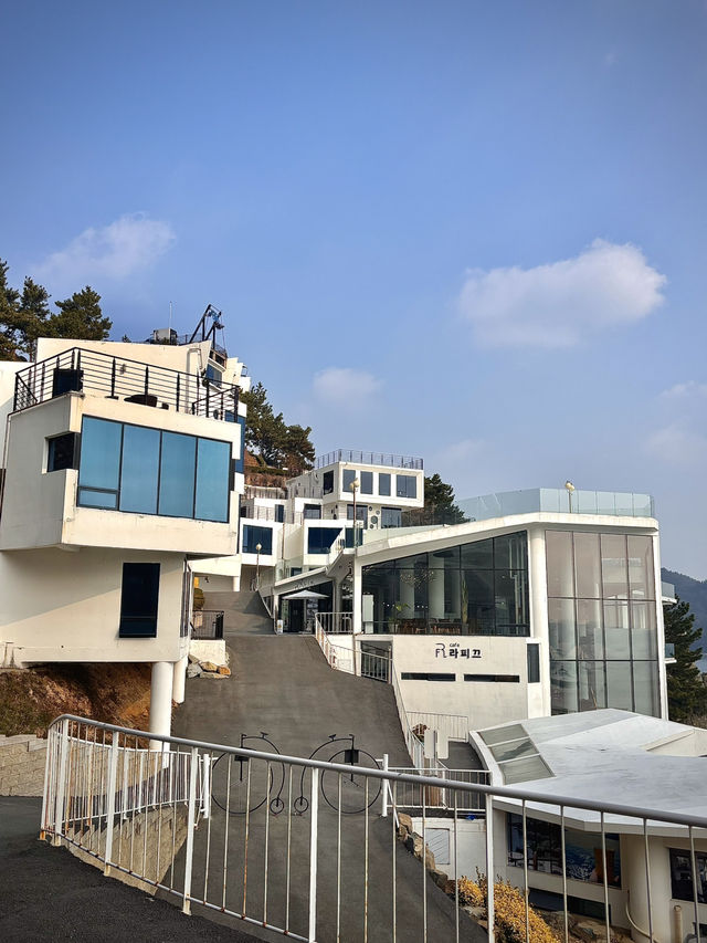 바다를 품은 감성카페, 여수 라피끄에서의 여유로운 하루 🌴