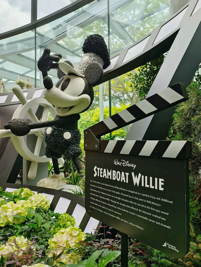 Disney's Garden of Wonders at Gardens by the Bay