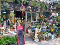 Netherlands Flower town / Dutch Flower town