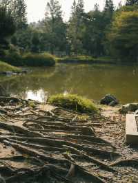 Taman Jepun (Japanese Garden) in Ipoh: A Serene Retreat