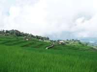 นาขั้นบันไดของไทยที่สวยงามไม่แพ้ที่ไหน