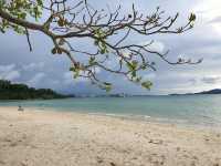 🌴 UMS ODEC Beach: KK’s Best-Kept Secret (Shhh!)🏖️