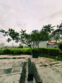Sky-High Serenity at The Starling Mall Rooftop Garden