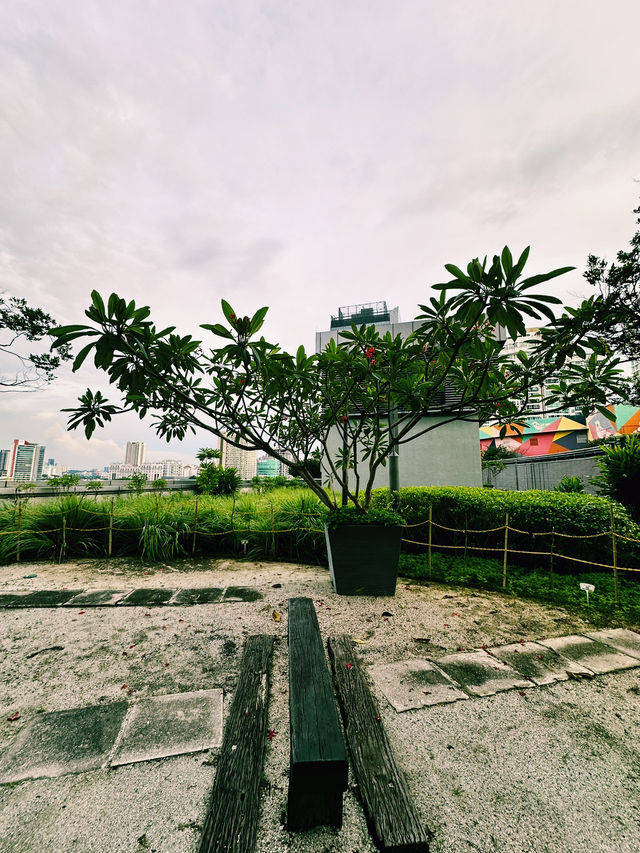 Sky-High Serenity at The Starling Mall Rooftop Garden