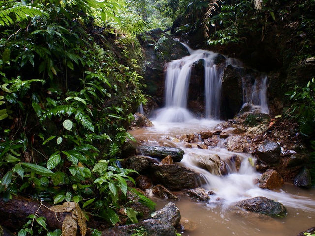 Gunung Lambak: The Mini Mountain That Will Wreck Your Legs (But Feed Your Soul)🏔️😅