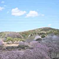 Hitachi Fudoki-no-Oka, Ibaraki
