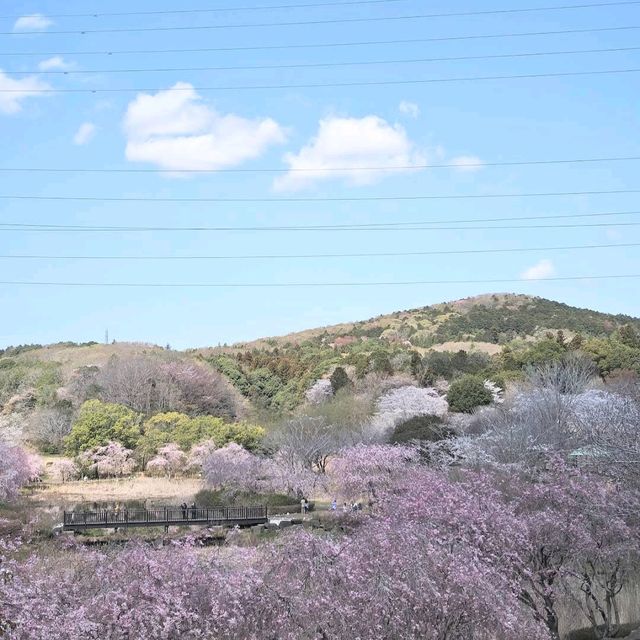 Hitachi Fudoki-no-Oka, Ibaraki
