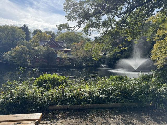 吉祥寺～東京值得花少一天好好遊玩的地方