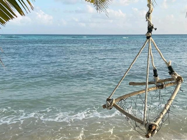 🌴 Dive Into Dreamy Alif Alif Atoll, Maldives! 🌊✨