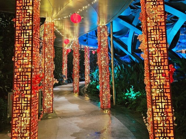 Beautiful sensoryscape at night