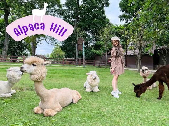 พาเที่ยว อัลปาก้าฮิลด์ #สวนผึ้ง จ.ราชบุรี