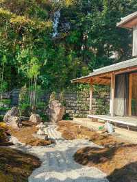 Kamakura 1 day trip from Tokyo🇯🇵
