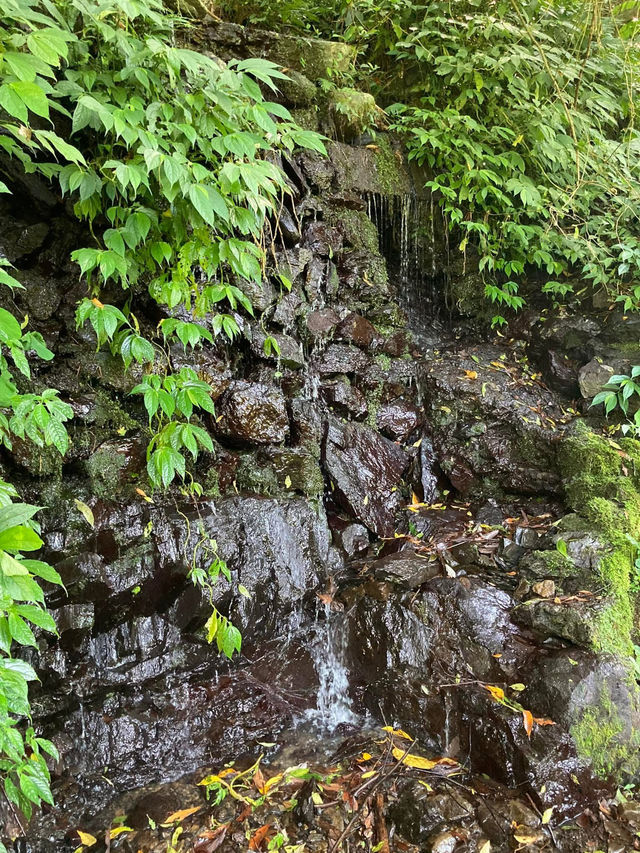 信賢步道