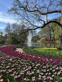 A day in Keukenhof