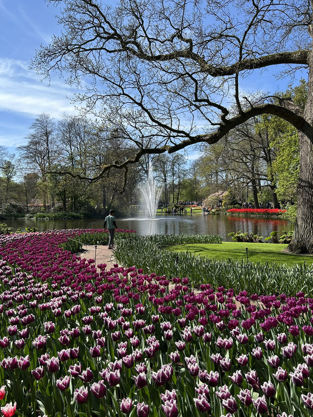 A day in Keukenhof