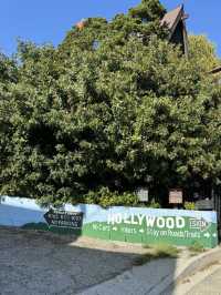 🥾 Hollywood Sign 하이킹 코스, LA의 상징을 가까이!