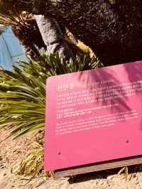 Discovering the Springtime Splendor of Oedo Botania