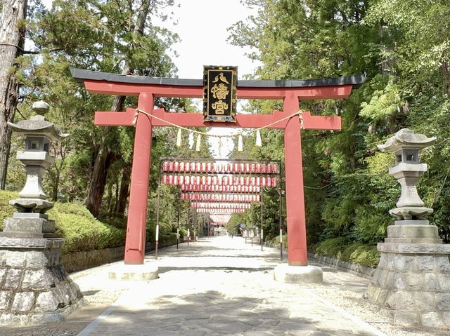 🇯🇵 仙台的歷史和賞櫻之旅