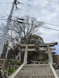 悠閒貓島散步：男木島的小確幸之旅