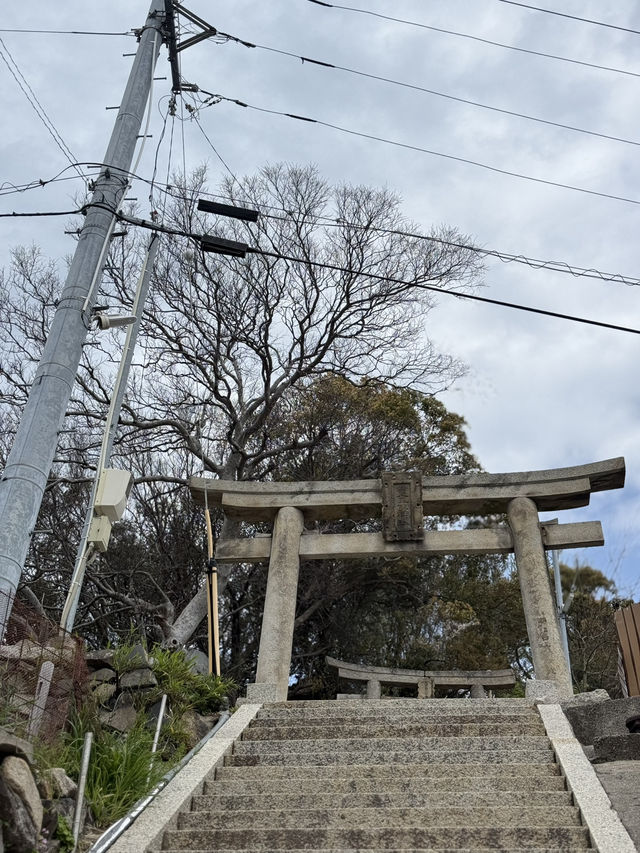  悠閒貓島散步：男木島的小確幸之旅