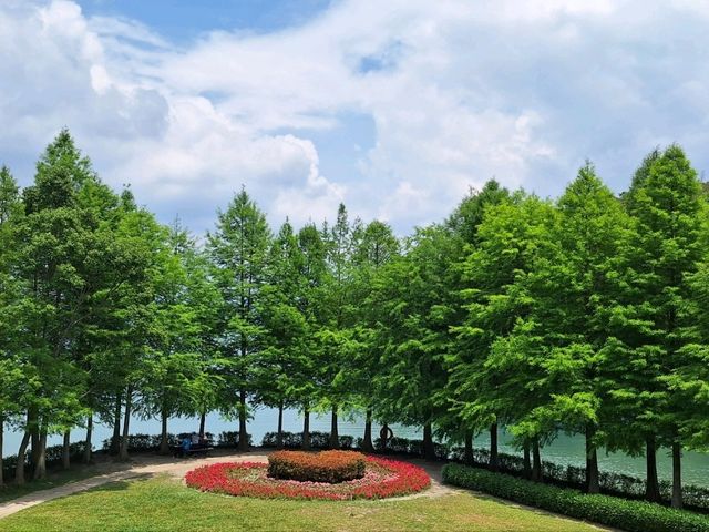 日月潭，湖光山色 ～誰能不愛