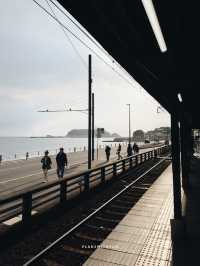 Kamakura (鎌倉) 🚃🌊 (คามาคุระ)