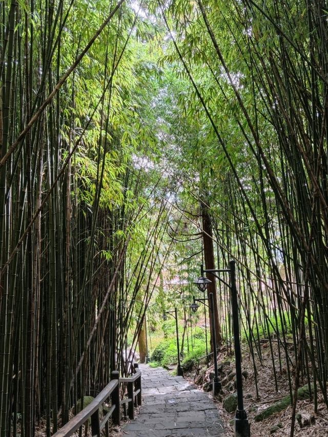 #奮起湖車站-嘉義縣竹崎鄉
