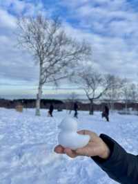 【北海道】網走天都山流冰館：俯瞰鄂霍次克海和世界自然遺產知床連峰