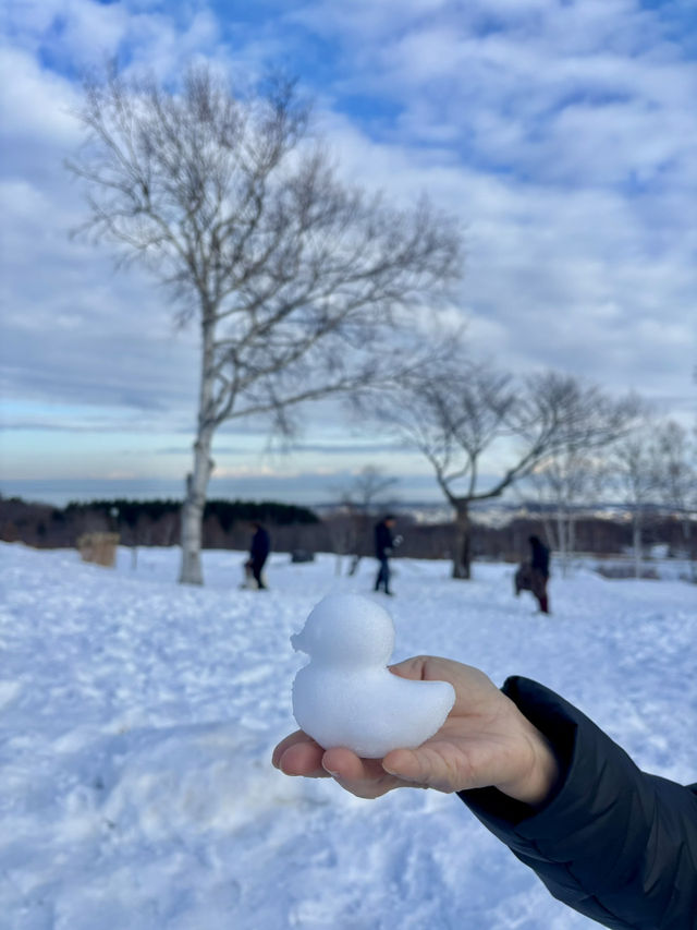 【北海道】網走天都山流冰館：俯瞰鄂霍次克海和世界自然遺產知床連峰