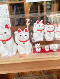 東京六日遊5/4第五天豪德寺喵喵廟
