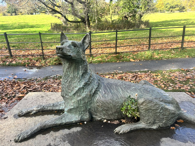 格拉斯哥一日遊必去！波洛克鄉村公園（Pollok Country Park）🏞️🐂🐕✨  