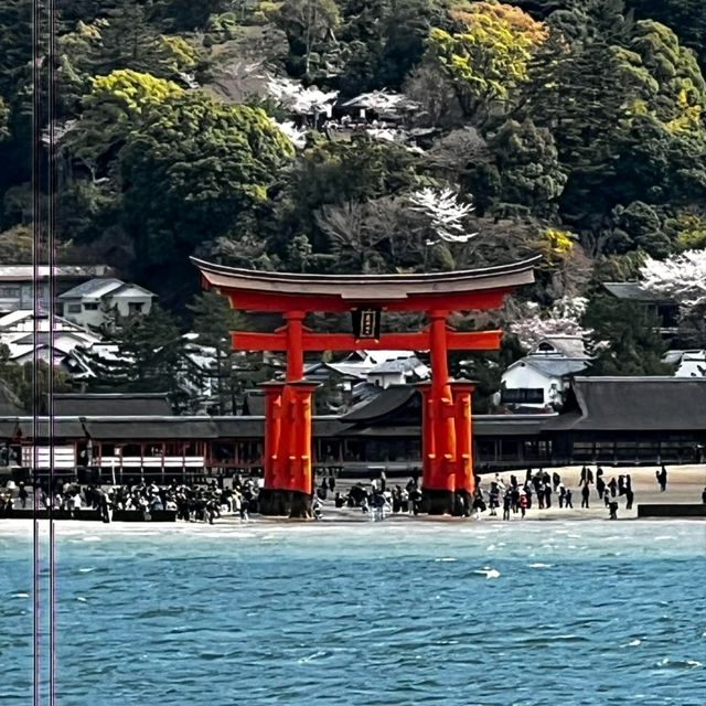 Itsukushima Jinja: A Shrine That Floats on Water