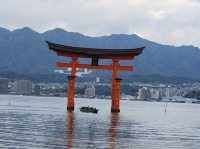 世界文化遺產-嚴島宮島神社、五重塔、千疊閣