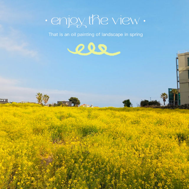 My Visit to Sanbangsan's Canola Fields