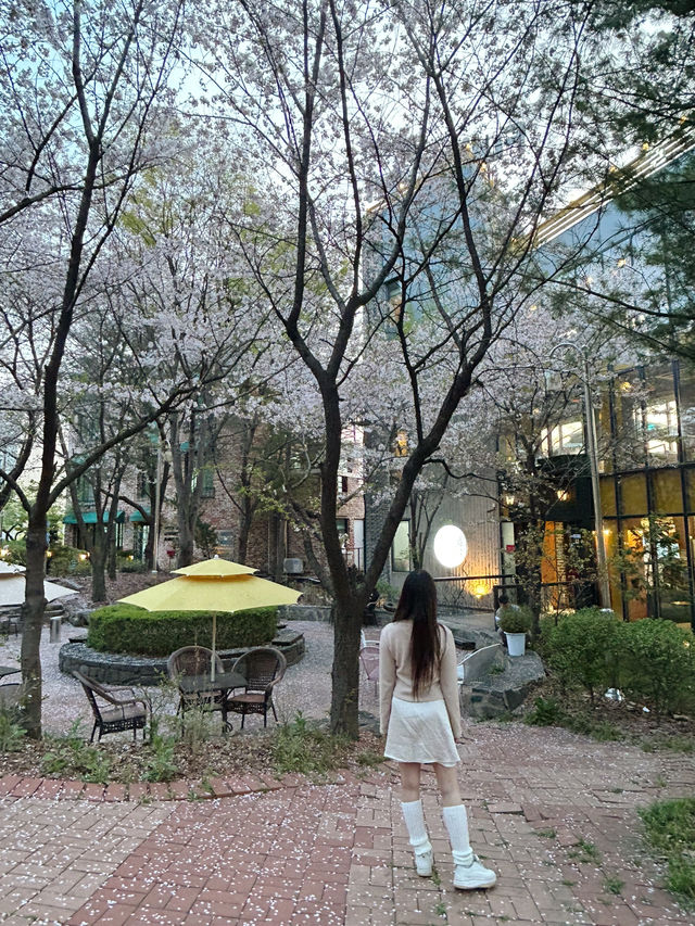감성 가득 수암골, 치즈빙수의 원조인 카페 풀문🤍🌕