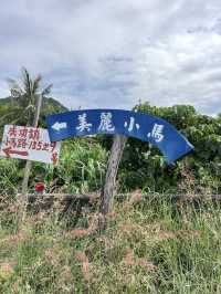 Solo-travel with me in Taitung Dulan🌊💗