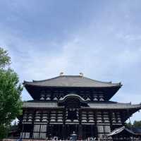 Meeting the Great Buddha: Todaiji