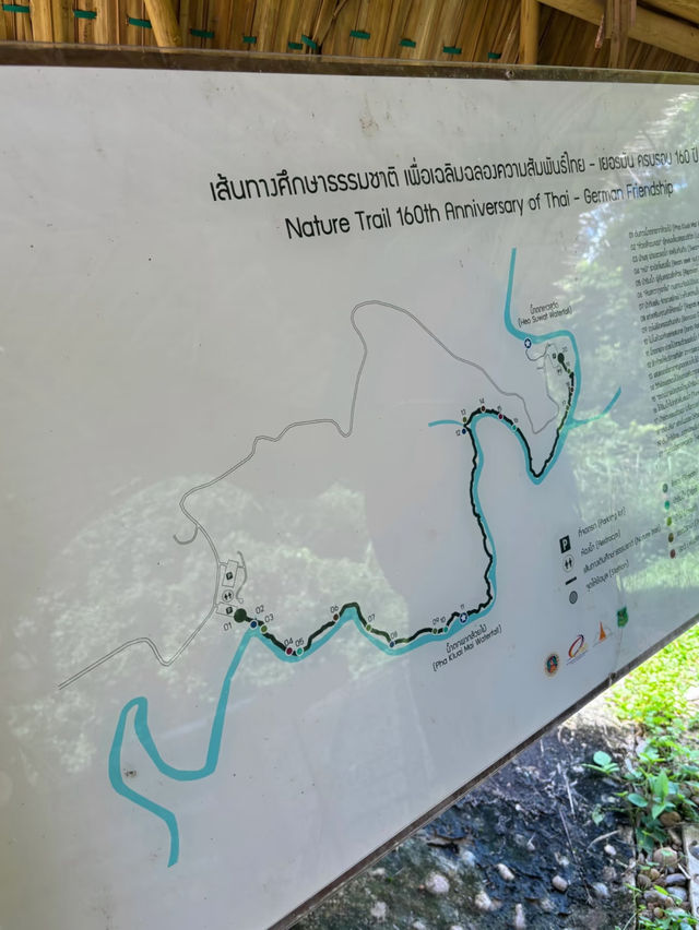 🌿 Rainforest Hiking Near Bangkok — So Much Fun I Could Burst!