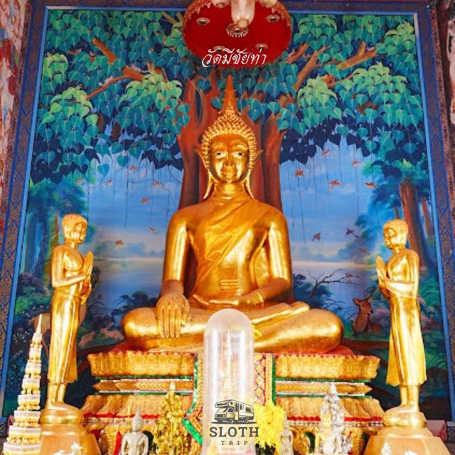 🎋 วัดมีชัยท่า หนองคาย