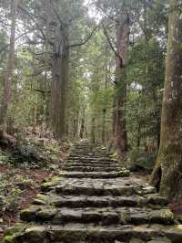 大門阪：那智的古道石梯🏞️🪨